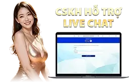 Cskh-ho-tro-live-chat