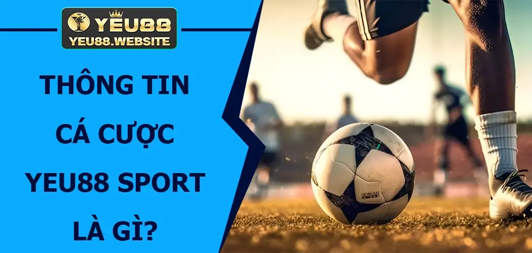 Thông tin cá cược Yeu88 Sport là gì